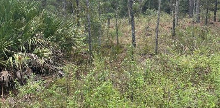 Land in Ocala, Florida № 2162895