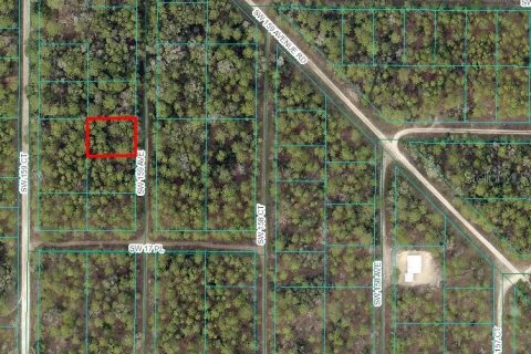 Land in Ocala, Florida № 2162895 - photo 2