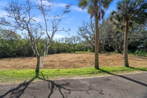 Terreno en venta en Safety Harbor, Florida № 1853919 - foto 7