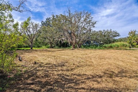 Terreno en venta en Safety Harbor, Florida № 1853919 - foto 4