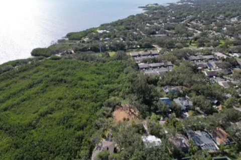 Terreno en venta en Safety Harbor, Florida № 1853919 - foto 10