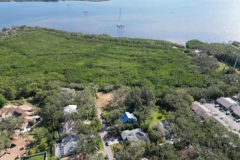 Terreno en venta en Safety Harbor, Florida № 1853919 - foto 11