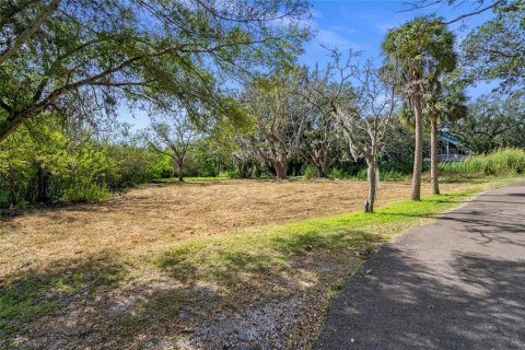 Terreno en venta en Safety Harbor, Florida № 1853919 - foto 8