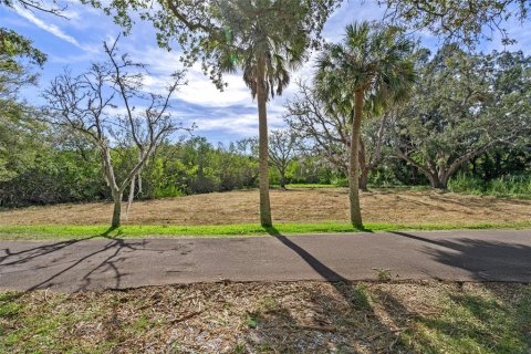 Terreno en venta en Safety Harbor, Florida № 1853919 - foto 3