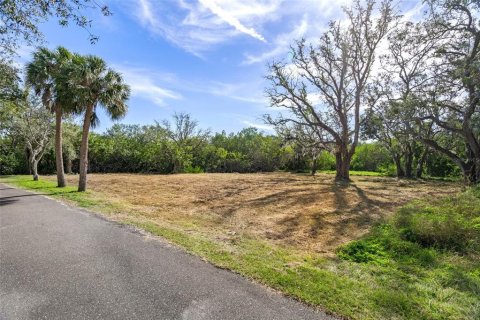 Terreno en venta en Safety Harbor, Florida № 1853919 - foto 6
