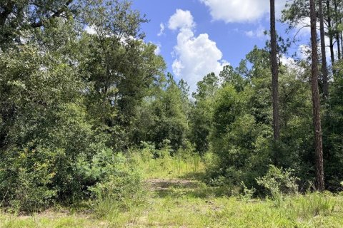Terreno en Bronson, Florida № 2226270