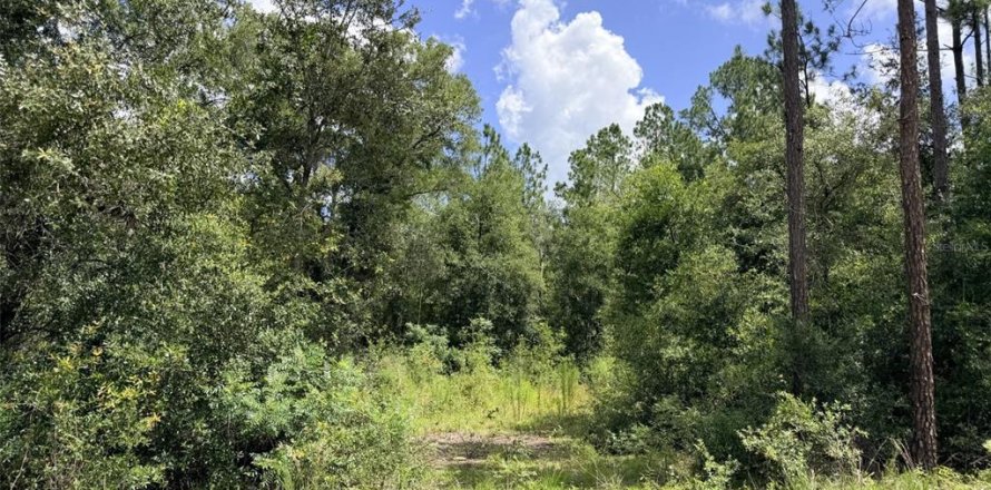 Terreno en Bronson, Florida № 2226270