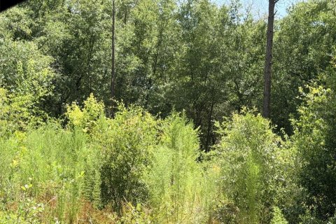 Terreno en venta en Bronson, Florida № 2226270 - foto 2
