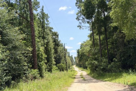 Terreno en venta en Bronson, Florida № 2226270 - foto 3