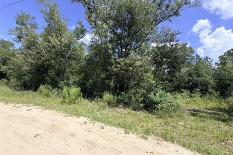 Terreno en venta en Bronson, Florida № 2226270 - foto 5