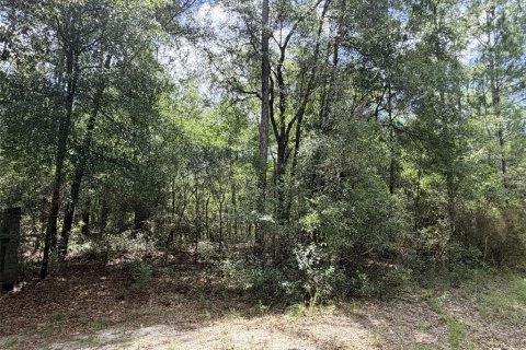 Terreno en venta en Bronson, Florida № 2226270 - foto 6