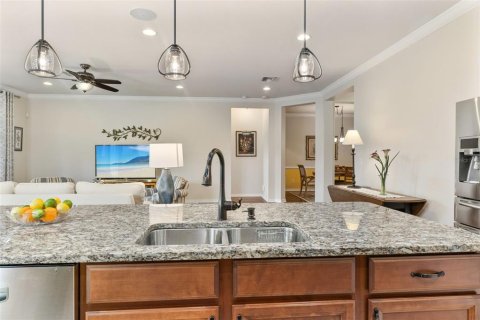 House in Land O' Lakes, Florida 3 bedrooms, 225.66 sq.m. № 1907627 - photo 26