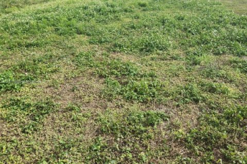 Terreno en venta en Deerfield Beach, Florida № 1709239 - foto 2