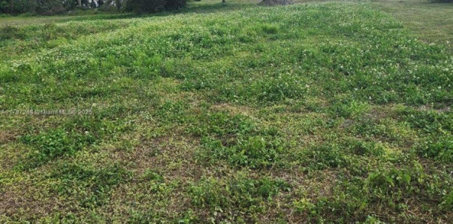 Terreno en Deerfield Beach, Florida № 1709239
