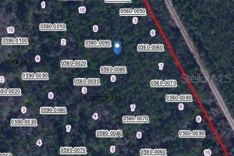 Land in Satsuma, Florida № 2163089 - photo 2