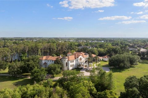 Villa ou maison à vendre à Windermere, Floride: 7 chambres, 2053.88 m2 № 2103525 - photo 12