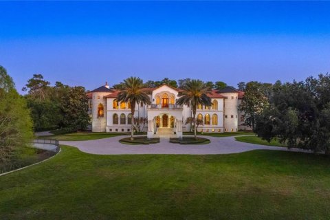 Villa ou maison à vendre à Windermere, Floride: 7 chambres, 2053.88 m2 № 2103525 - photo 3