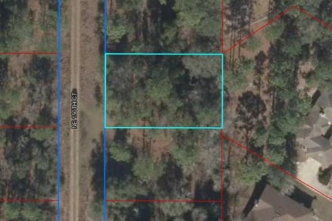 Terreno en Williston, Florida № 2164393