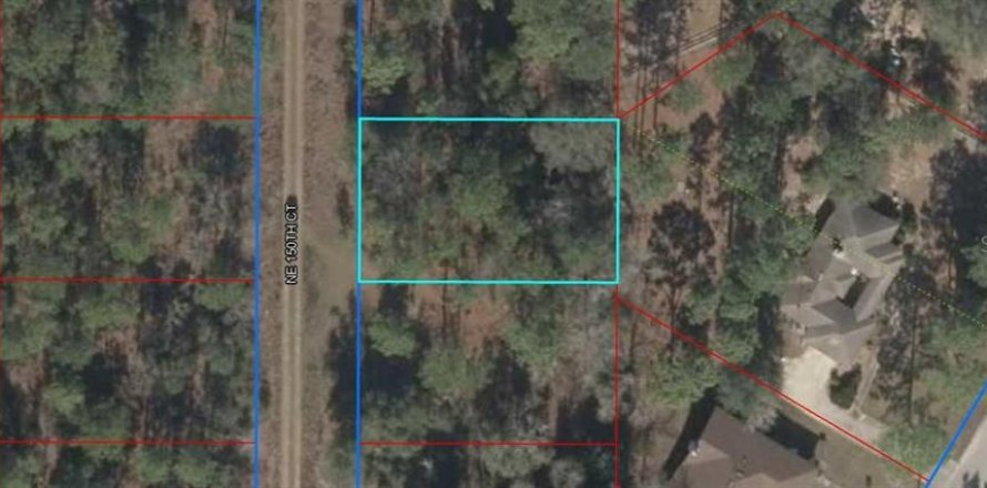 Land in Williston, Florida № 2164393