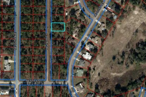Land in Williston, Florida № 2164393 - photo 2