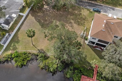 Terreno en venta en New Port Richey, Florida № 1723699 - foto 10