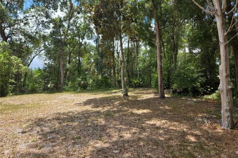 Casa en venta en Orange City, Florida, 3 dormitorios, 79.52 m2 № 1869169 - foto 25