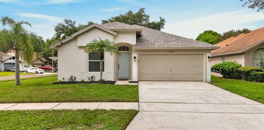 House in Tampa, Florida 3 bedrooms, 159.7 sq.m. № 2314316
