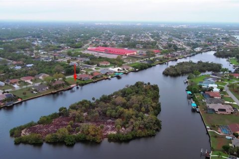 Land in Port Charlotte, Florida № 2165949 - photo 12