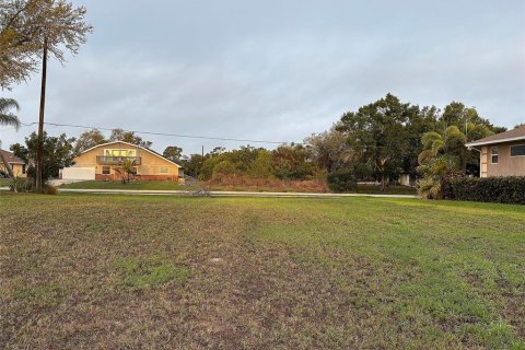 Land in Port Charlotte, Florida № 2165949 - photo 17