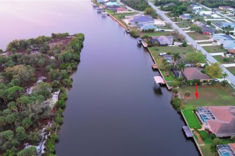 Land in Port Charlotte, Florida № 2165949 - photo 18