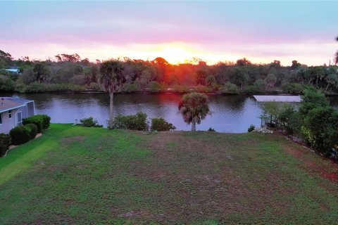 Land in Port Charlotte, Florida № 2165949 - photo 3
