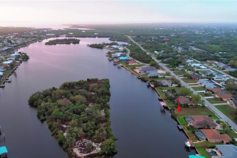 Land in Port Charlotte, Florida № 2165949 - photo 15
