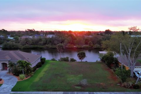 Land in Port Charlotte, Florida № 2165949 - photo 6