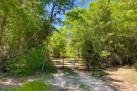 Land in Laurel Hill, Florida № 560607 - photo 1