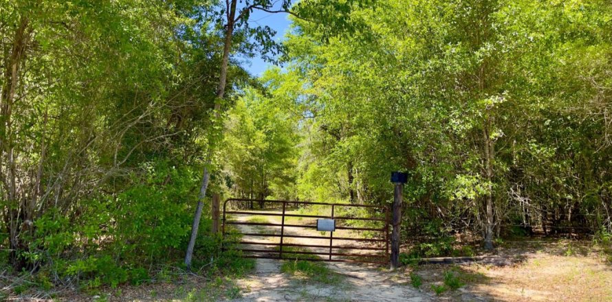 Land in Laurel Hill, Florida № 560607