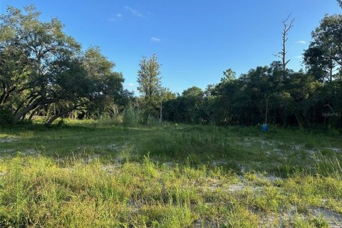 Land in Dunnellon, Florida № 1799827 - photo 2