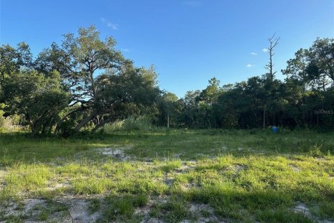 Land in Dunnellon, Florida № 1799827 - photo 1