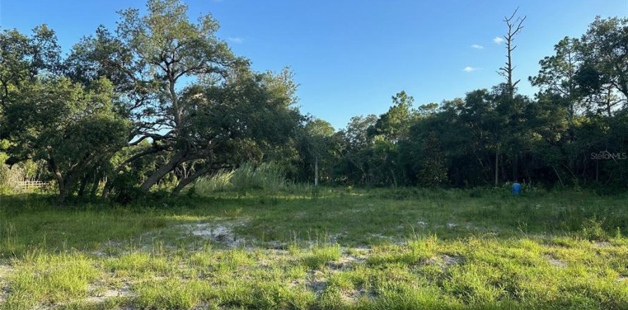 Land in Dunnellon, Florida № 1799827