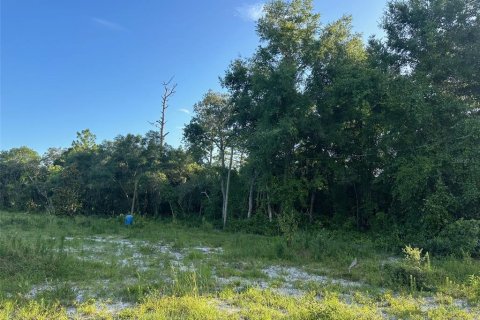Land in Dunnellon, Florida № 1799827 - photo 3