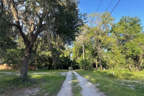 Land in Dunnellon, Florida № 1799827 - photo 5