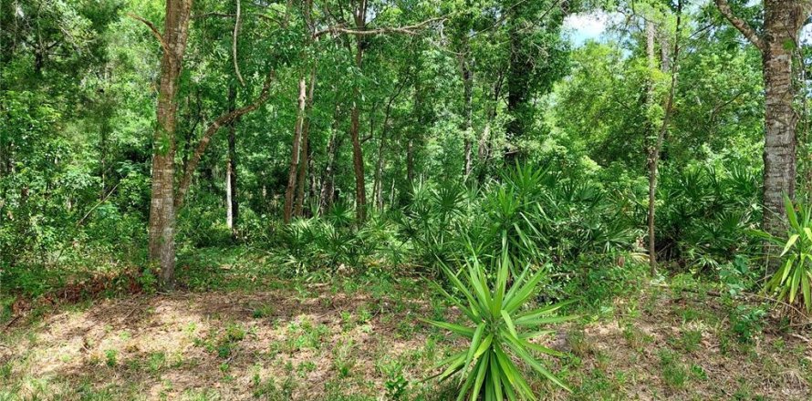 Terrain à New Port Richey, Floride № 2162509