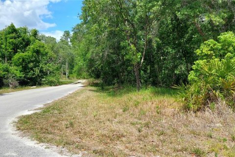 Terrain à vendre à New Port Richey, Floride № 2162509 - photo 2