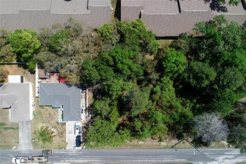Land in Spring Hill, Florida № 2163803 - photo 10