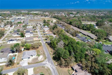 Land in Spring Hill, Florida № 2163803 - photo 16