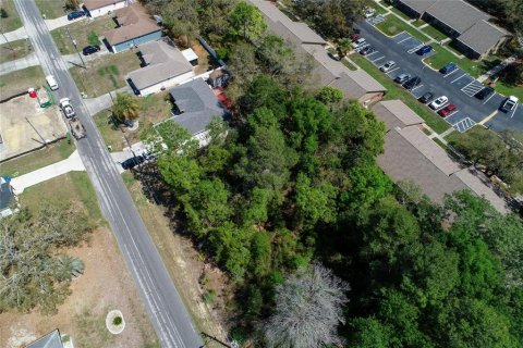 Land in Spring Hill, Florida № 2163803 - photo 9