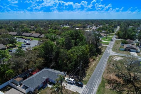 Land in Spring Hill, Florida № 2163803 - photo 14