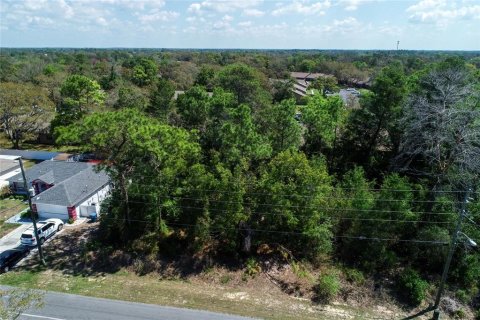 Land in Spring Hill, Florida № 2163803 - photo 12