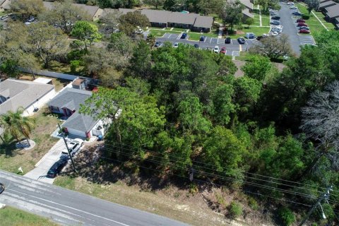 Land in Spring Hill, Florida № 2163803 - photo 11