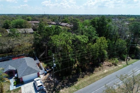 Land in Spring Hill, Florida № 2163803 - photo 13