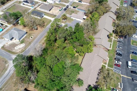 Land in Spring Hill, Florida № 2163803 - photo 17